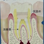 image2 (5)